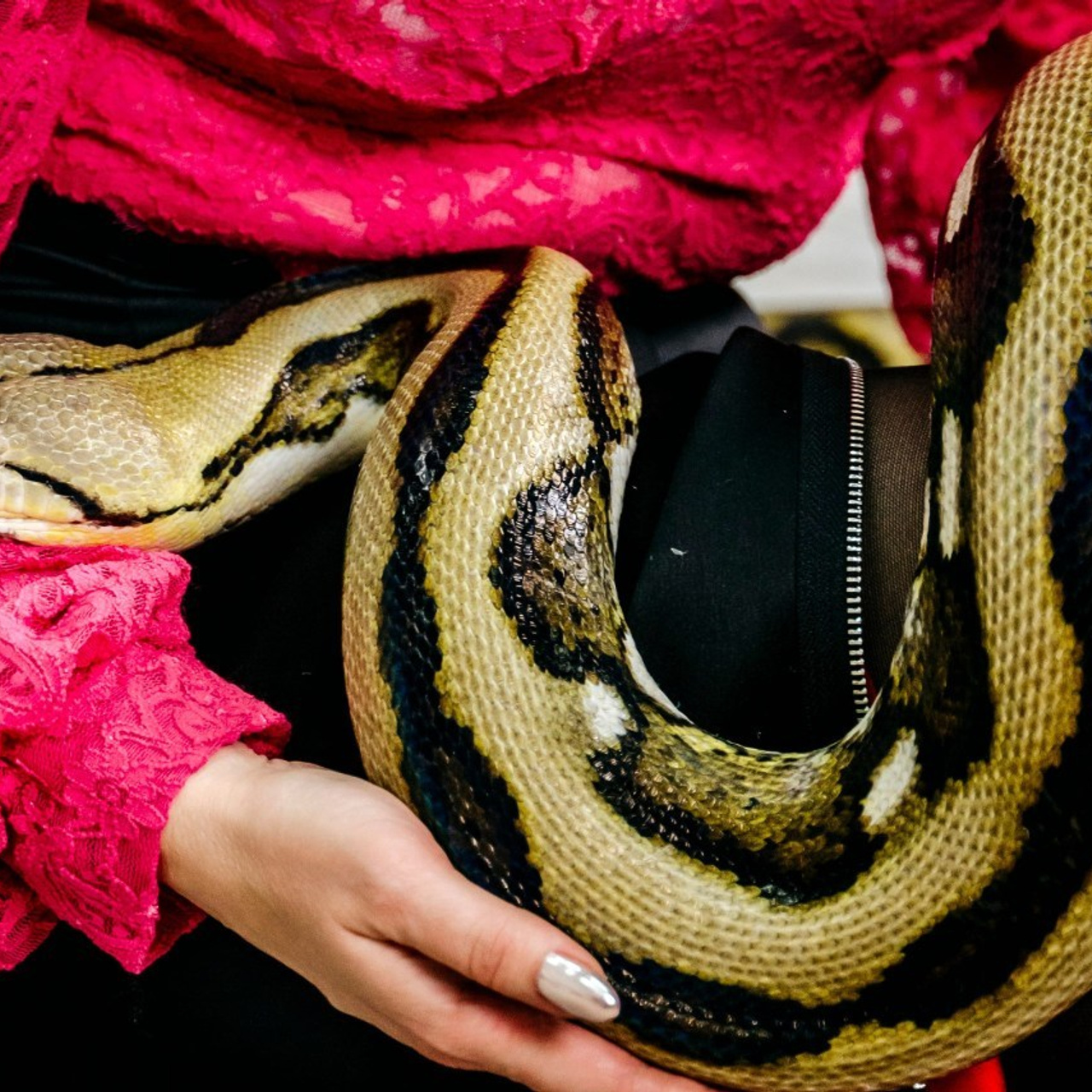 Отзывы. Фотограф самых запоминающихся моментов Вашей жизни