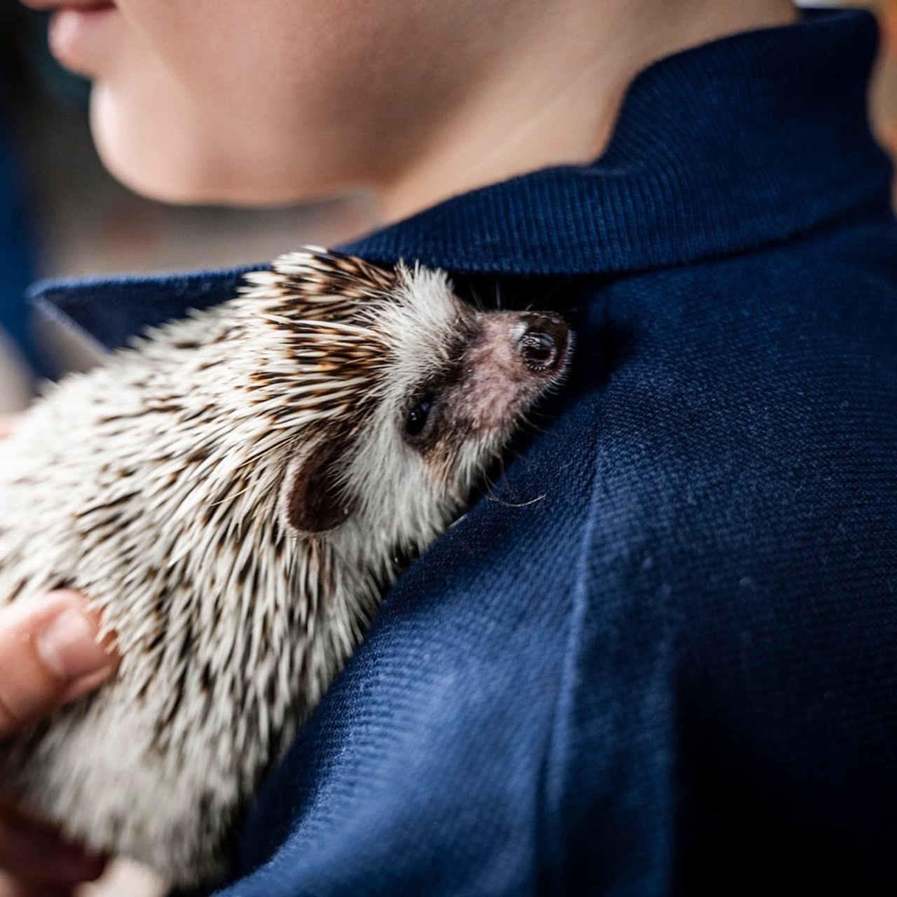 Отзывы. Фотограф самых запоминающихся моментов Вашей жизни