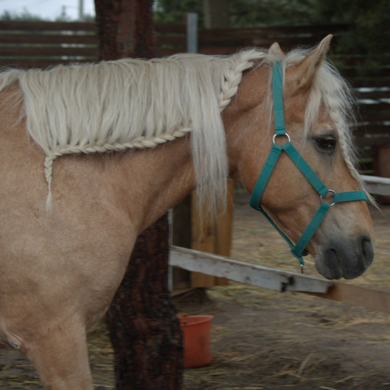 Отзывы о фотографе Алексее Иёшине. Фотограф Алексей Иёшин