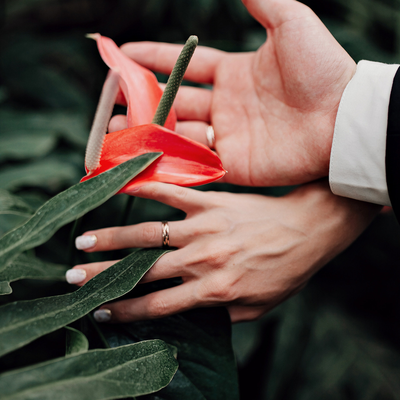Кейсы. Анастасия Турсунова арт-фотограф в Москве