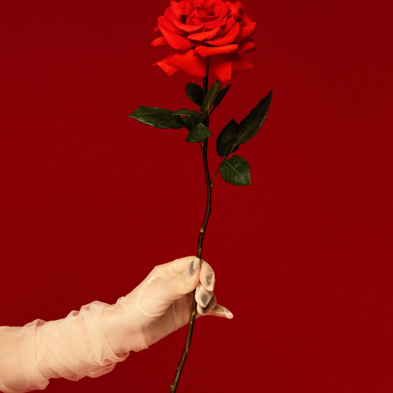 Отзывы. Фотограф НСК-Кем-СПБ Александра Фомич