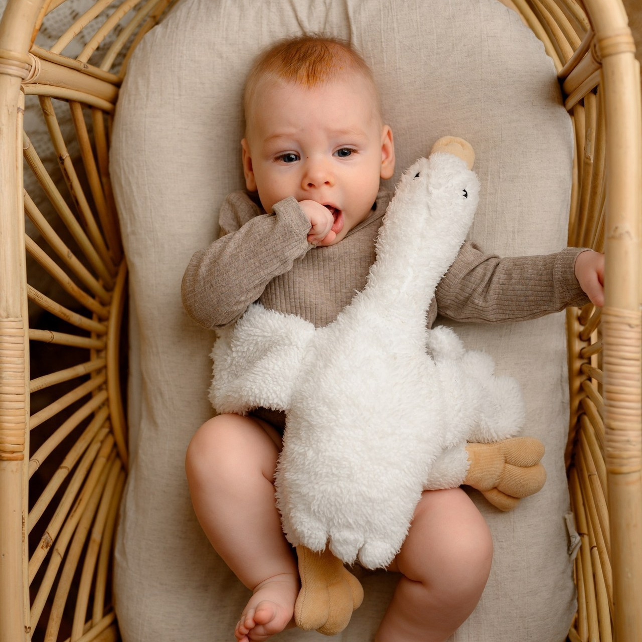 Отзывы. Фотограф новорожденных и детей до года в  Краснодаре Ольга Гладенко