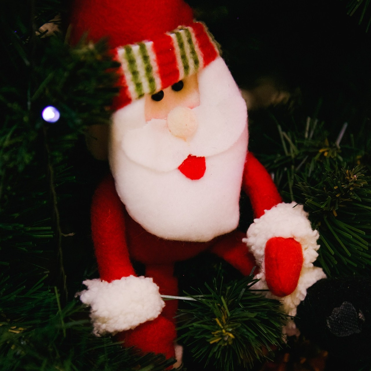 Отзывы на сайте. Фотограф в Перми Гиренко Людмила