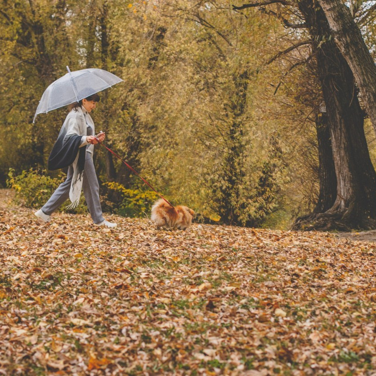 Отзывы на сайте. Фотограф в Перми Гиренко Людмила