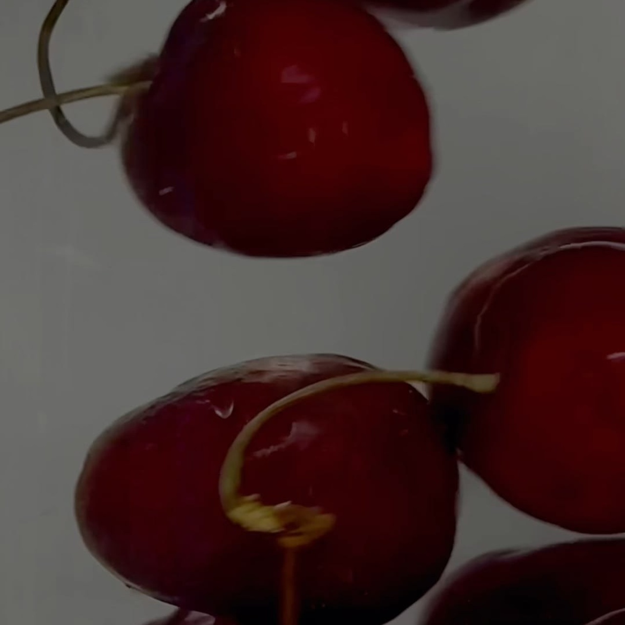 Видео. Фотограф Катерина Ивашова