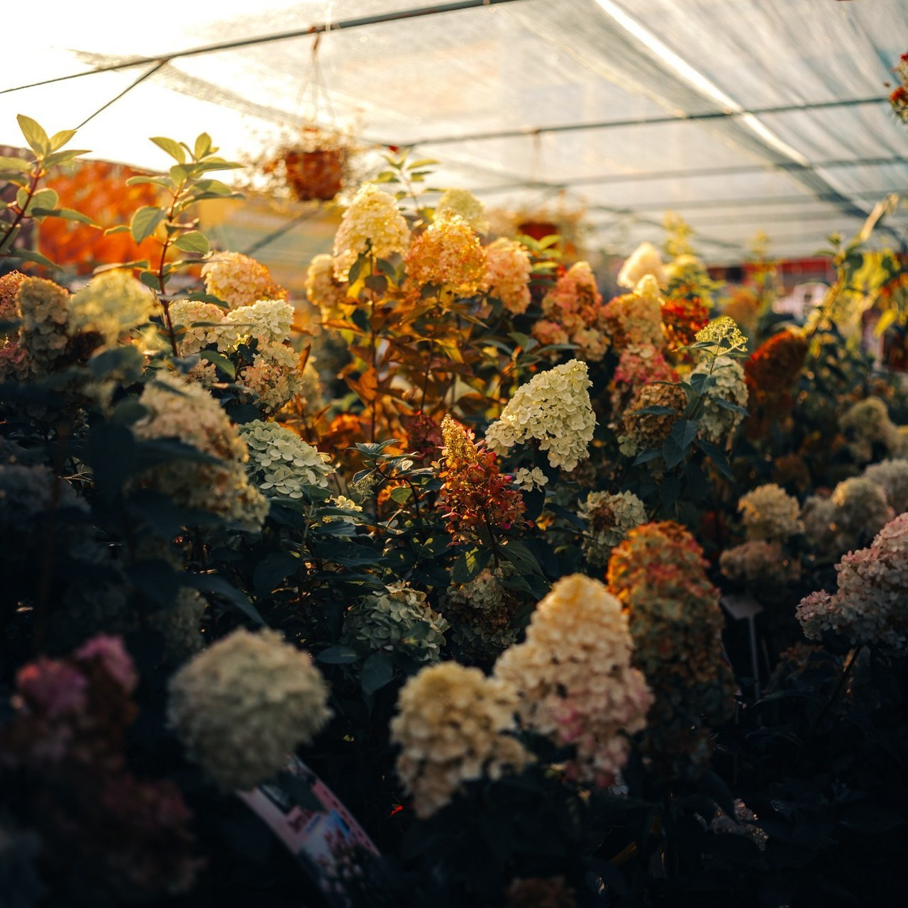 Отзывы. Haidarov