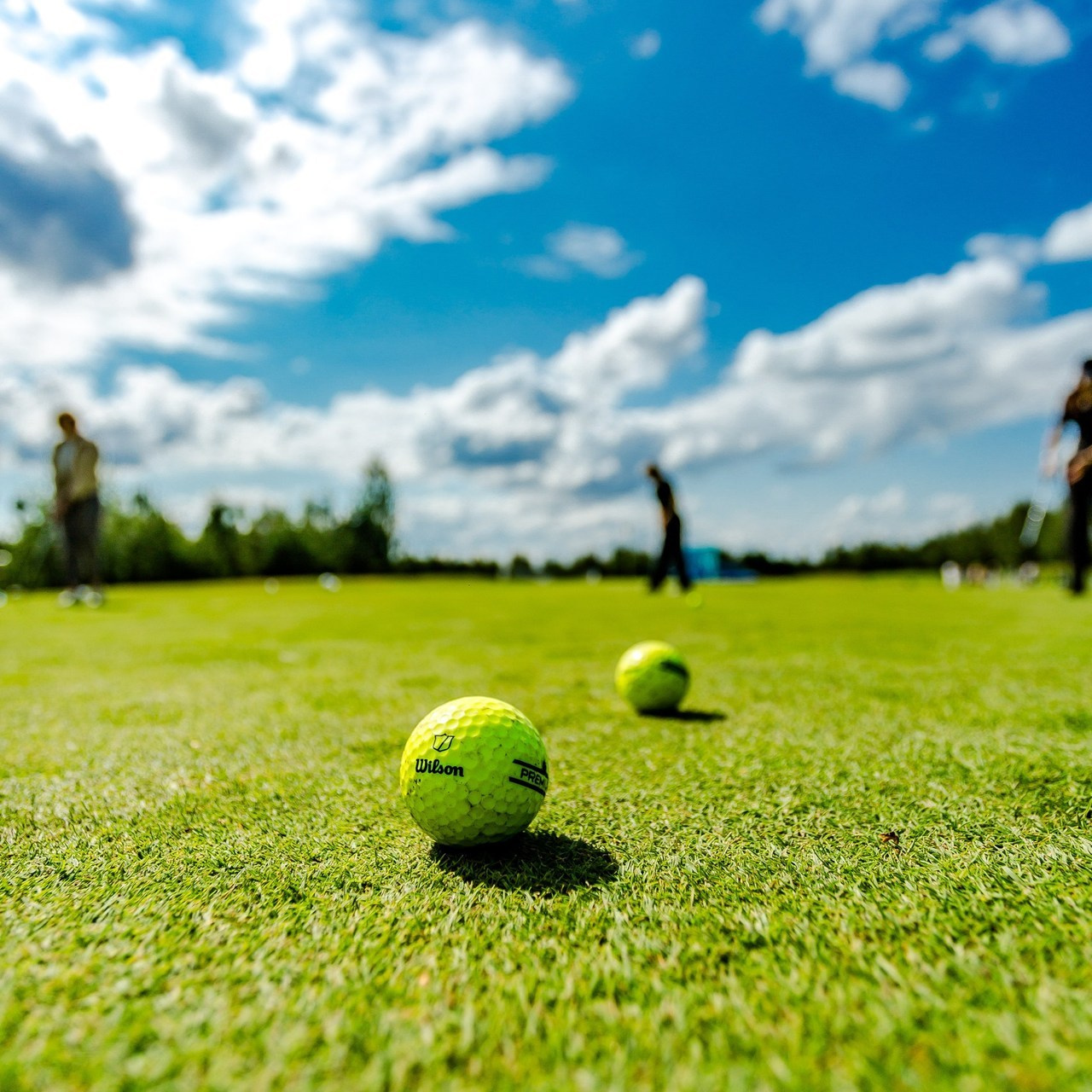 Отзывы. Фотограф Дмитрий Блюдой