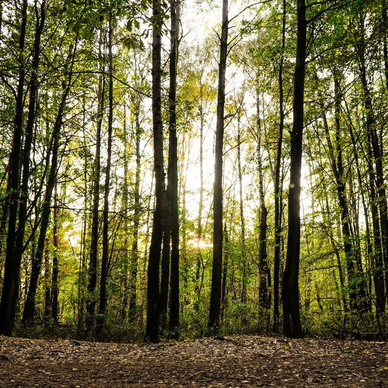 Отзывы. Роман Капилюшов. Бег. Фото. Видео. г. Люберцы