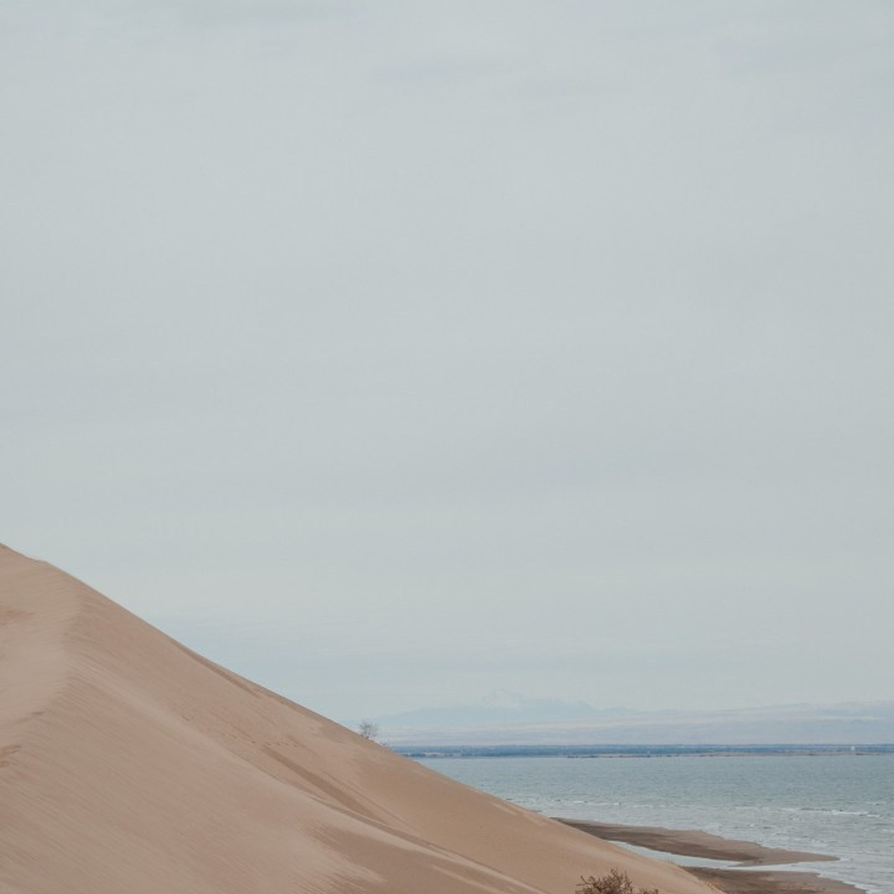 Отзывы о работе фотографа в Алматы — мнения клиентов Михаила Ситникова | Prophoto.kz. Репортажный фотограф в Алматы — Настоящие эмоции и живые кадры | ProPhoto.kz