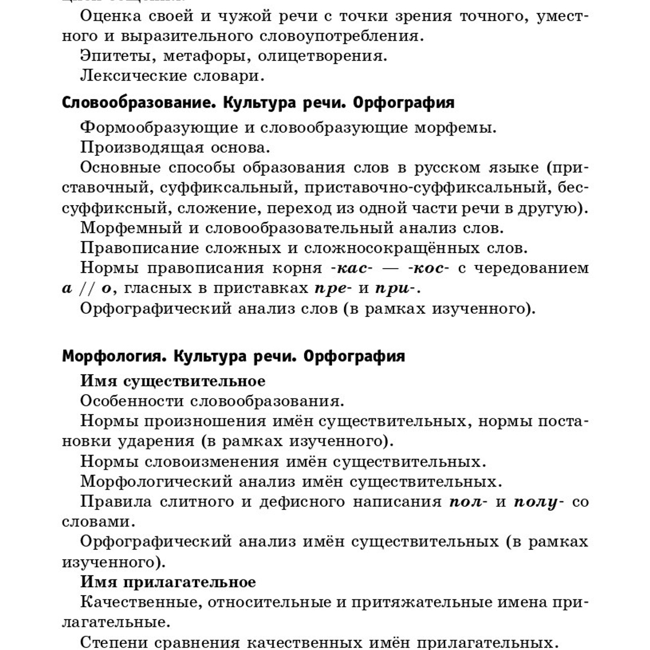 Русский язык