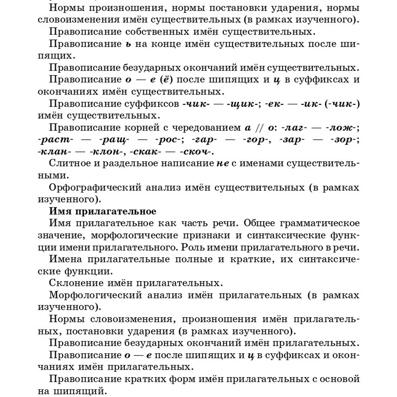 Русский язык