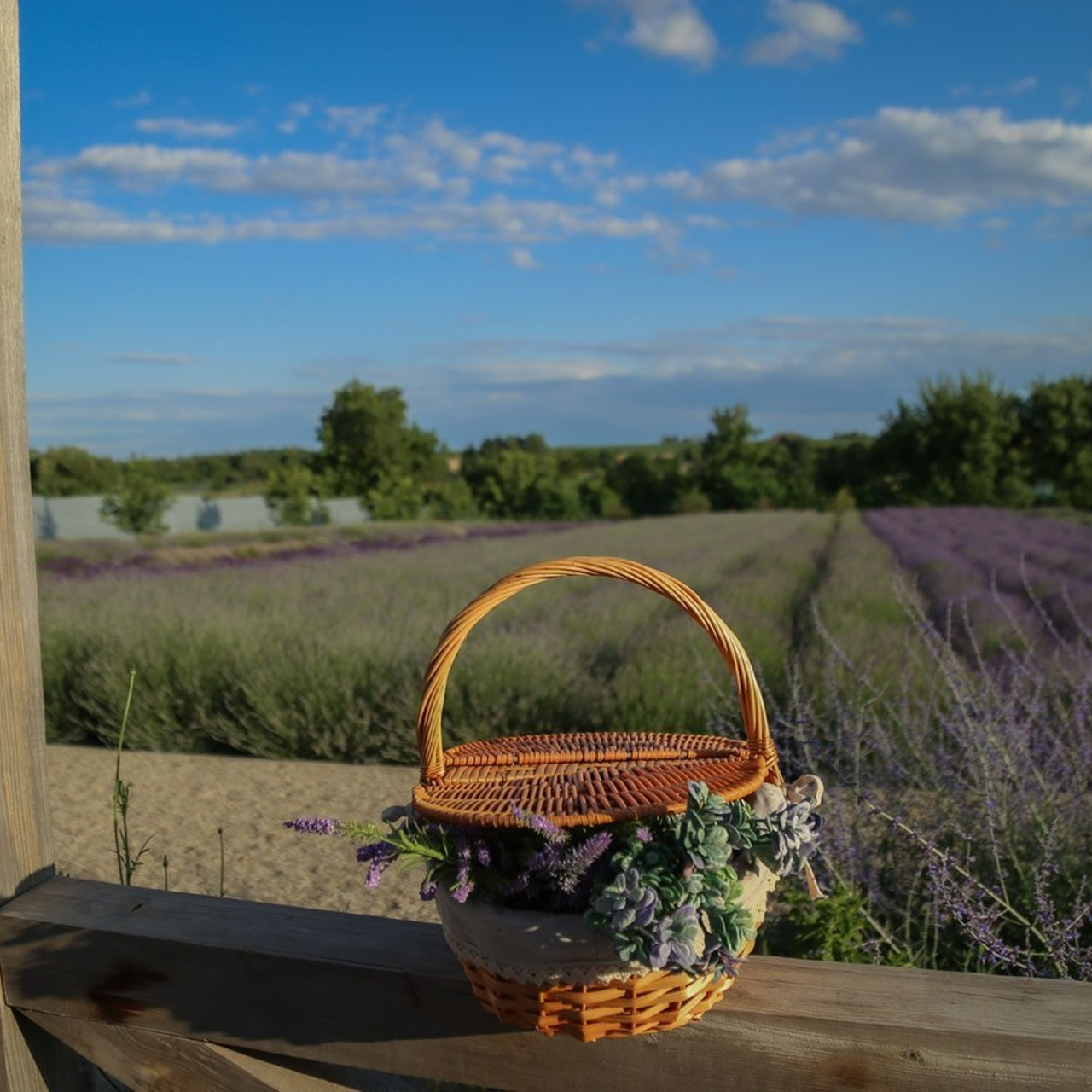 Отзывы. Главная