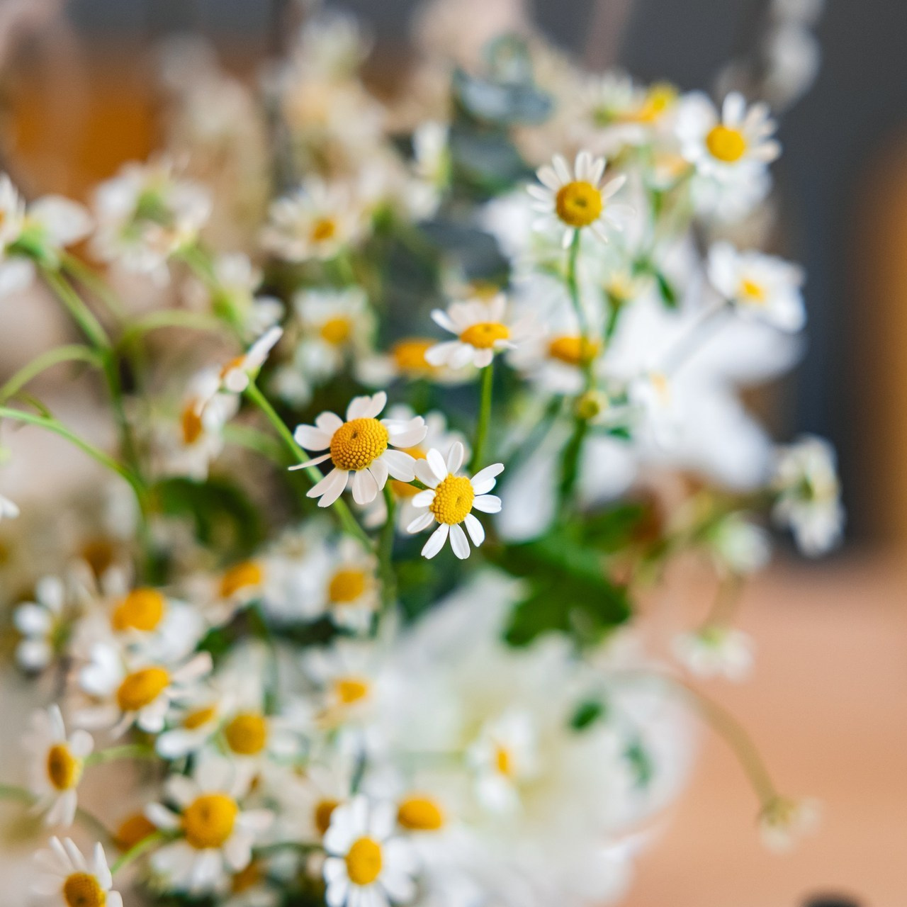 Отзывы. Крылова Светлана Фотограф Челябинск