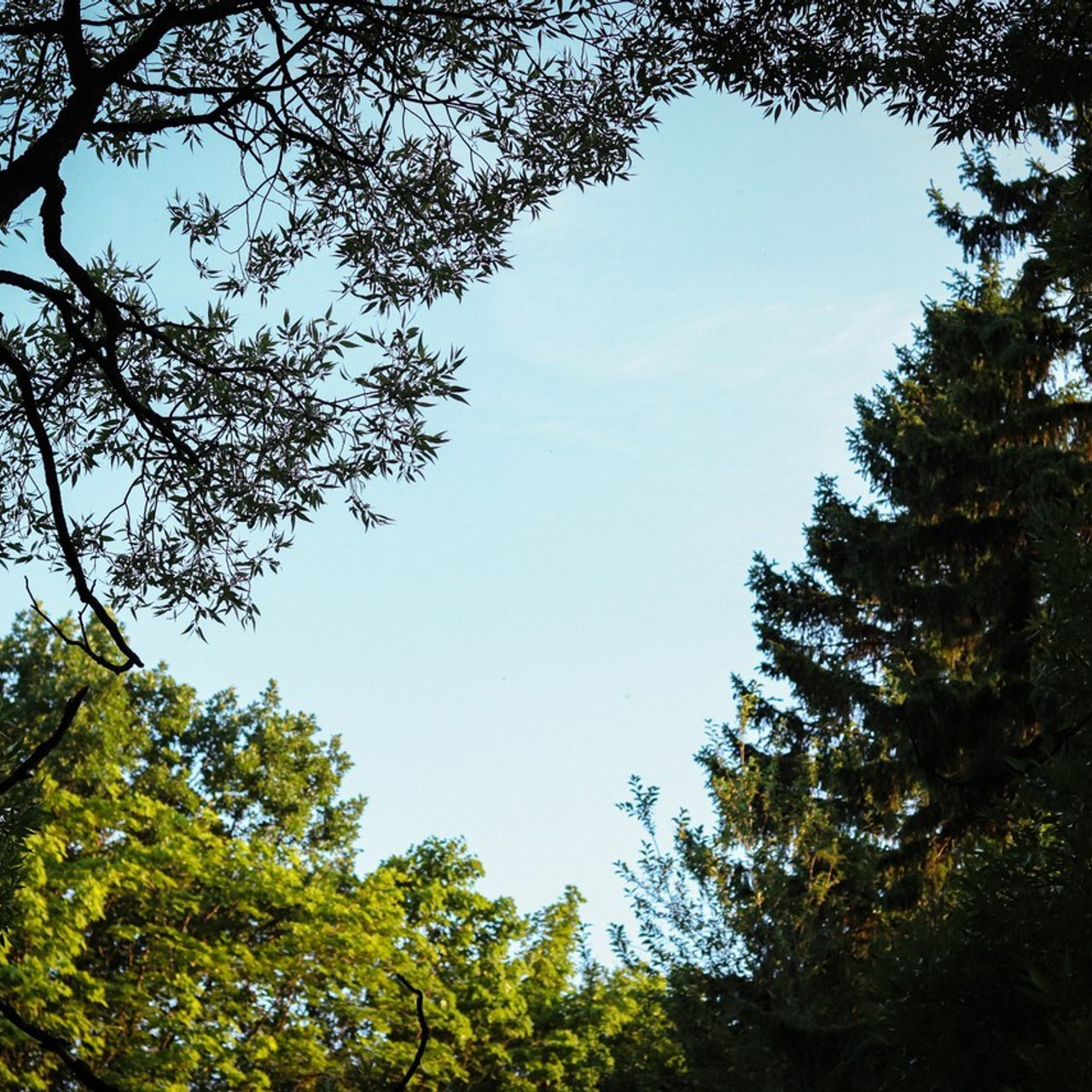 Отзывы. Ивентный фотограф в Санкт-Петербурге Олег Комков