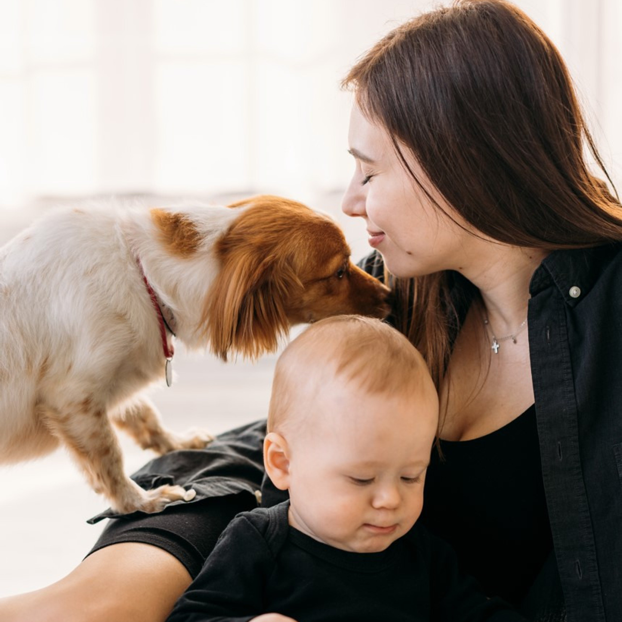 Отзывы. ИТВИ