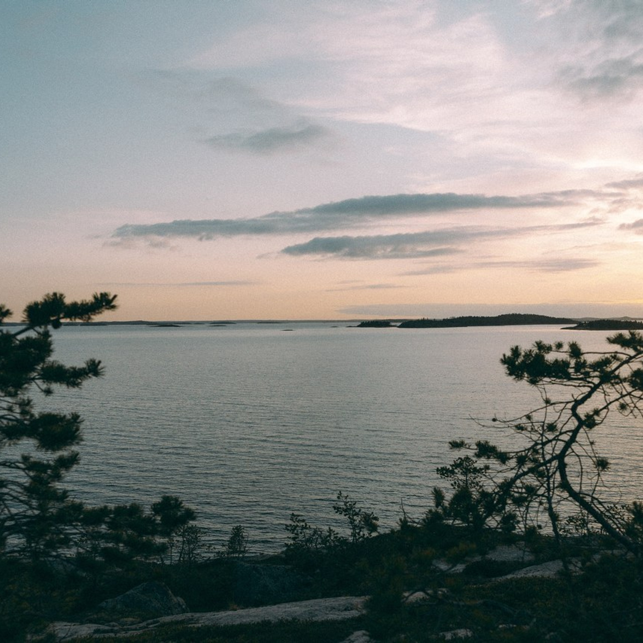 Отзывы. Фотограф Санкт-Петербург Макарова Дарья