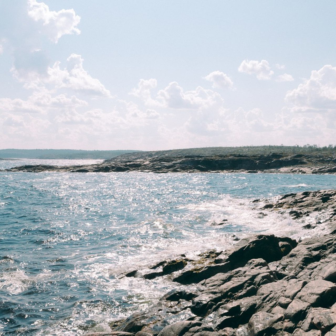 Отзывы. Фотограф Санкт-Петербург Макарова Дарья
