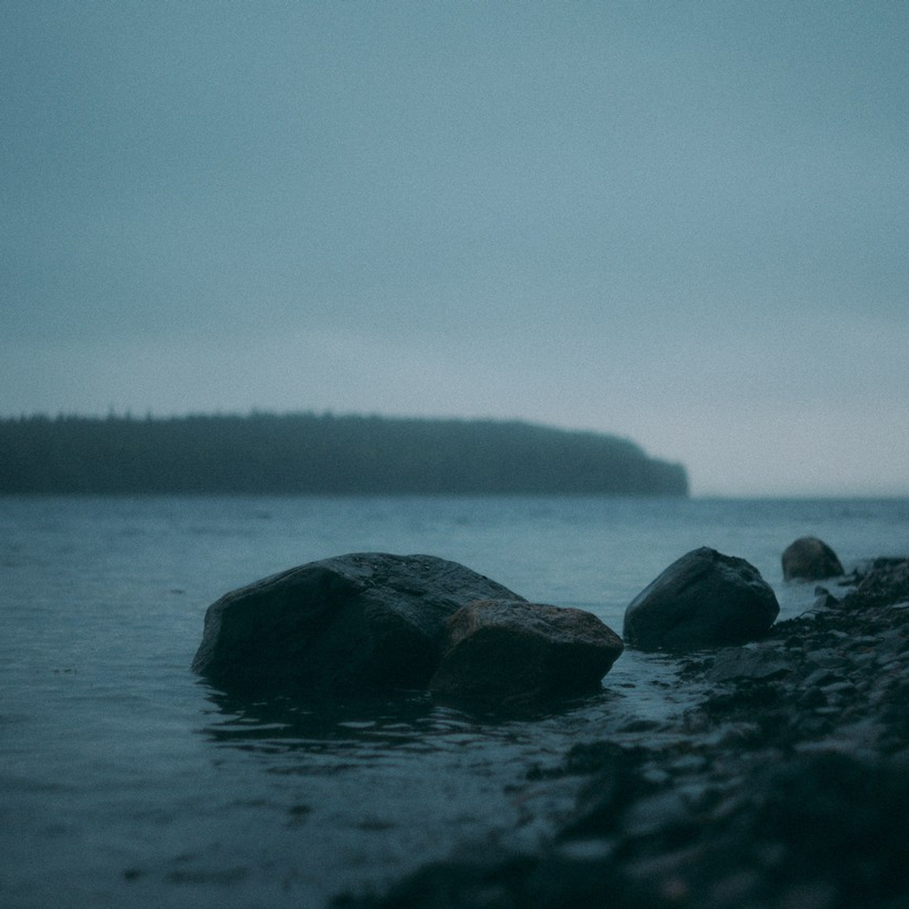 Отзывы. Фотограф Санкт-Петербург Макарова Дарья