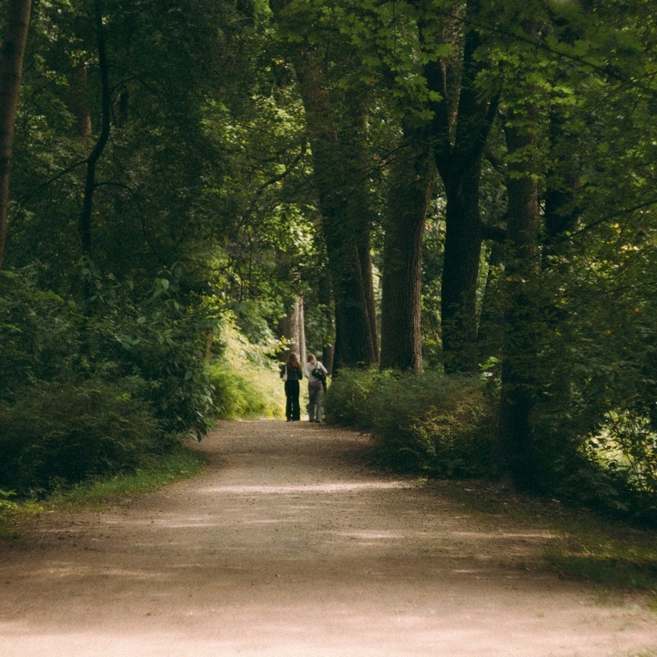 Отзывы. Фотограф Санкт-Петербург Макарова Дарья