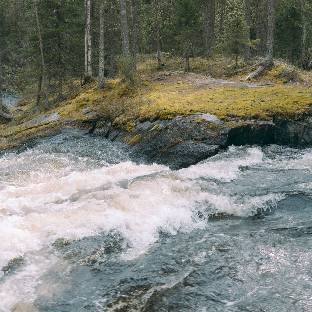 Отзывы. Фотограф Санкт-Петербург Макарова Дарья
