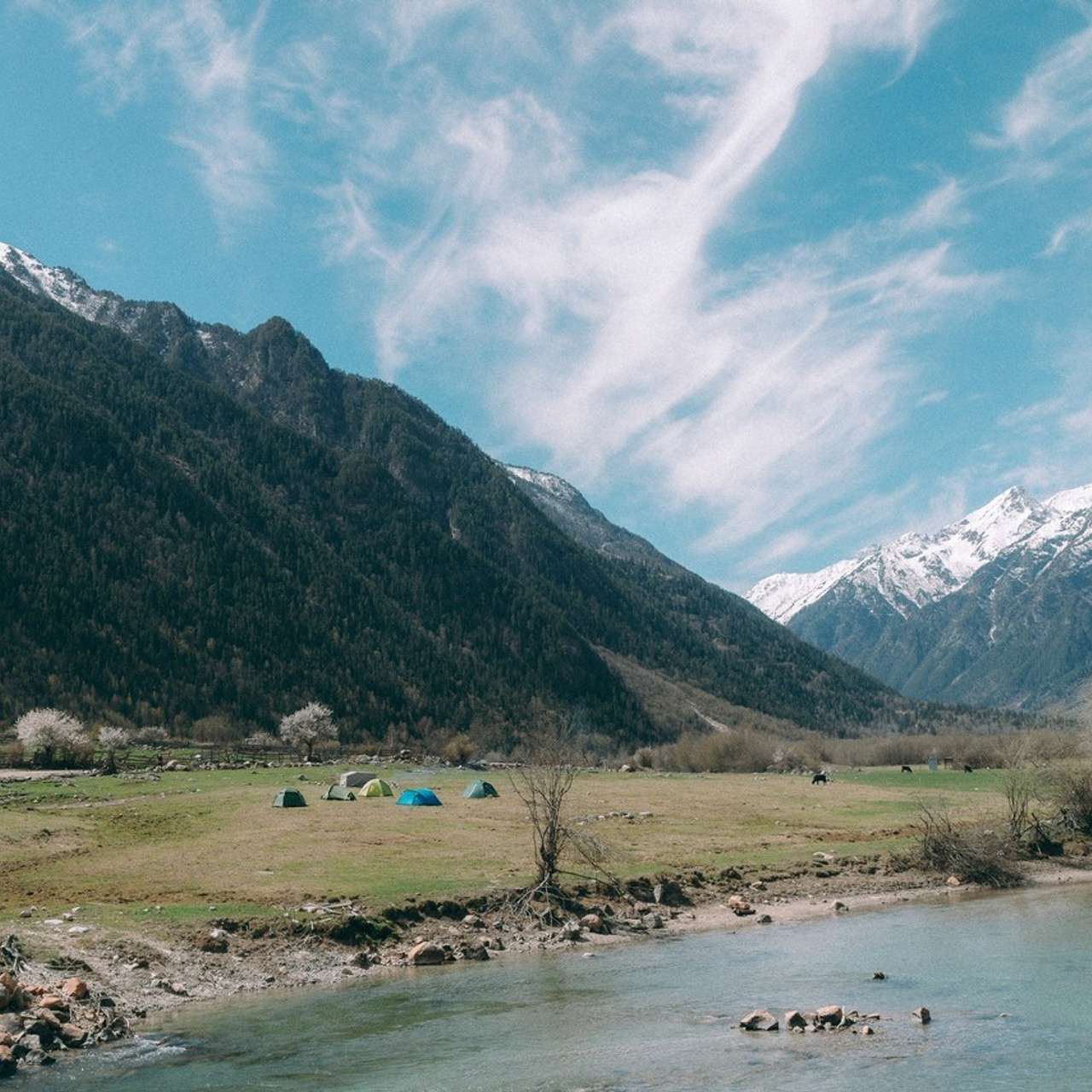 Отзывы. Фотограф Санкт-Петербург Макарова Дарья