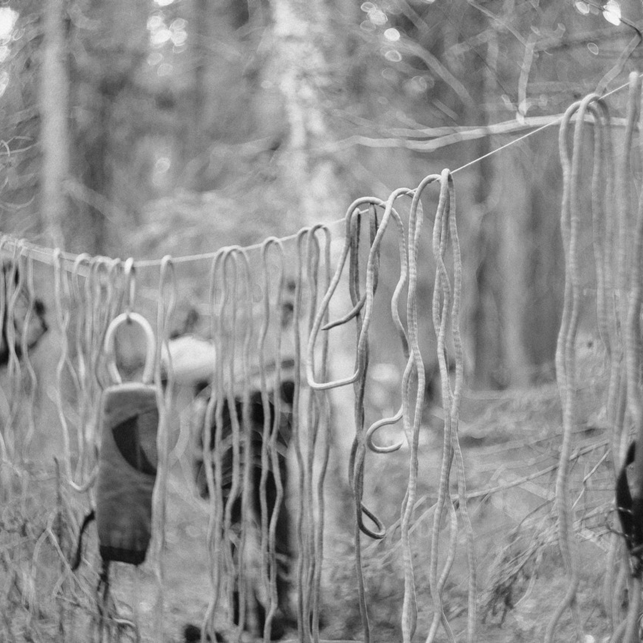 Отзывы. Фотограф Санкт-Петербург Макарова Дарья