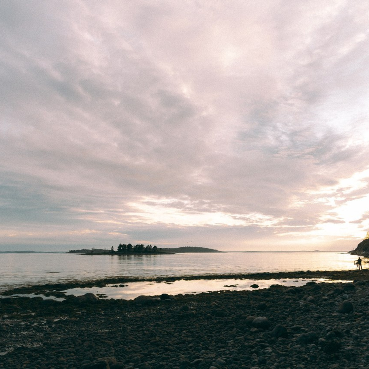 Отзывы. Фотограф Санкт-Петербург Макарова Дарья