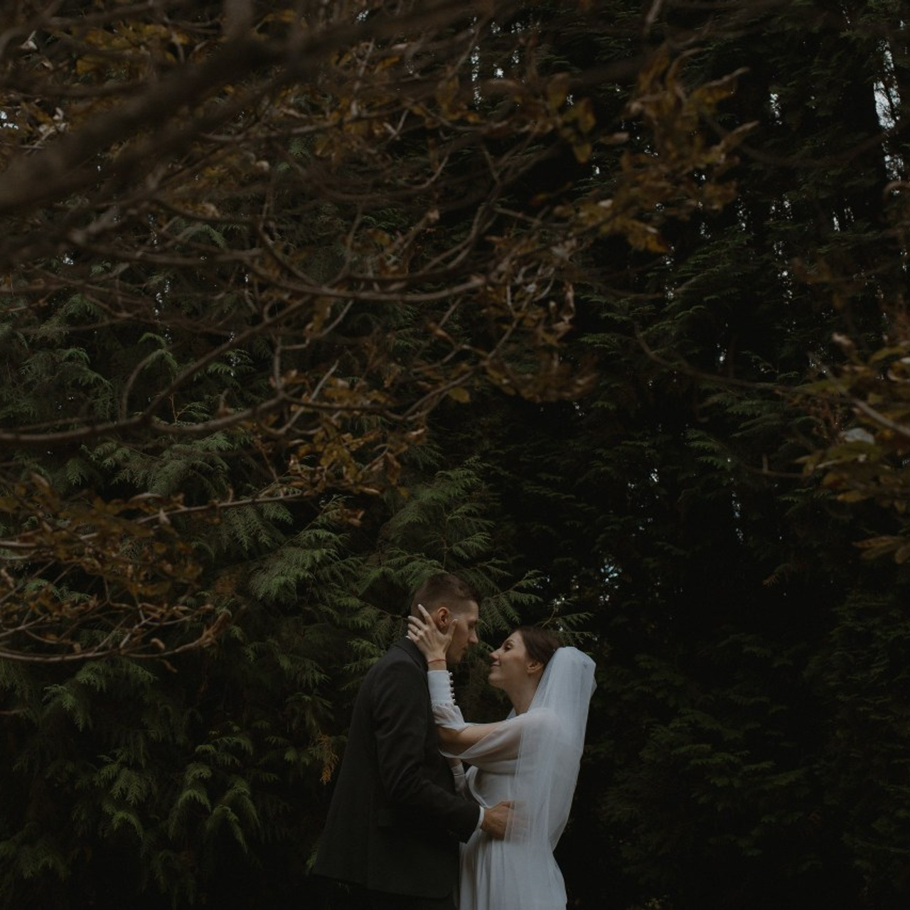 Отзывы. Свадебный фотограф в Ярославле Андрей Перегудов