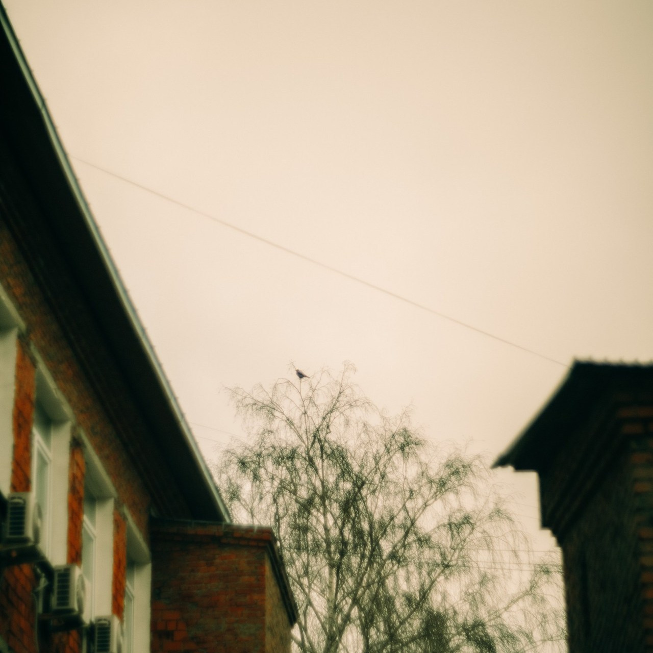 Сказочный фотограф Анна Захарова. Женский семейный фотограф Тула Москва Захарова Анна