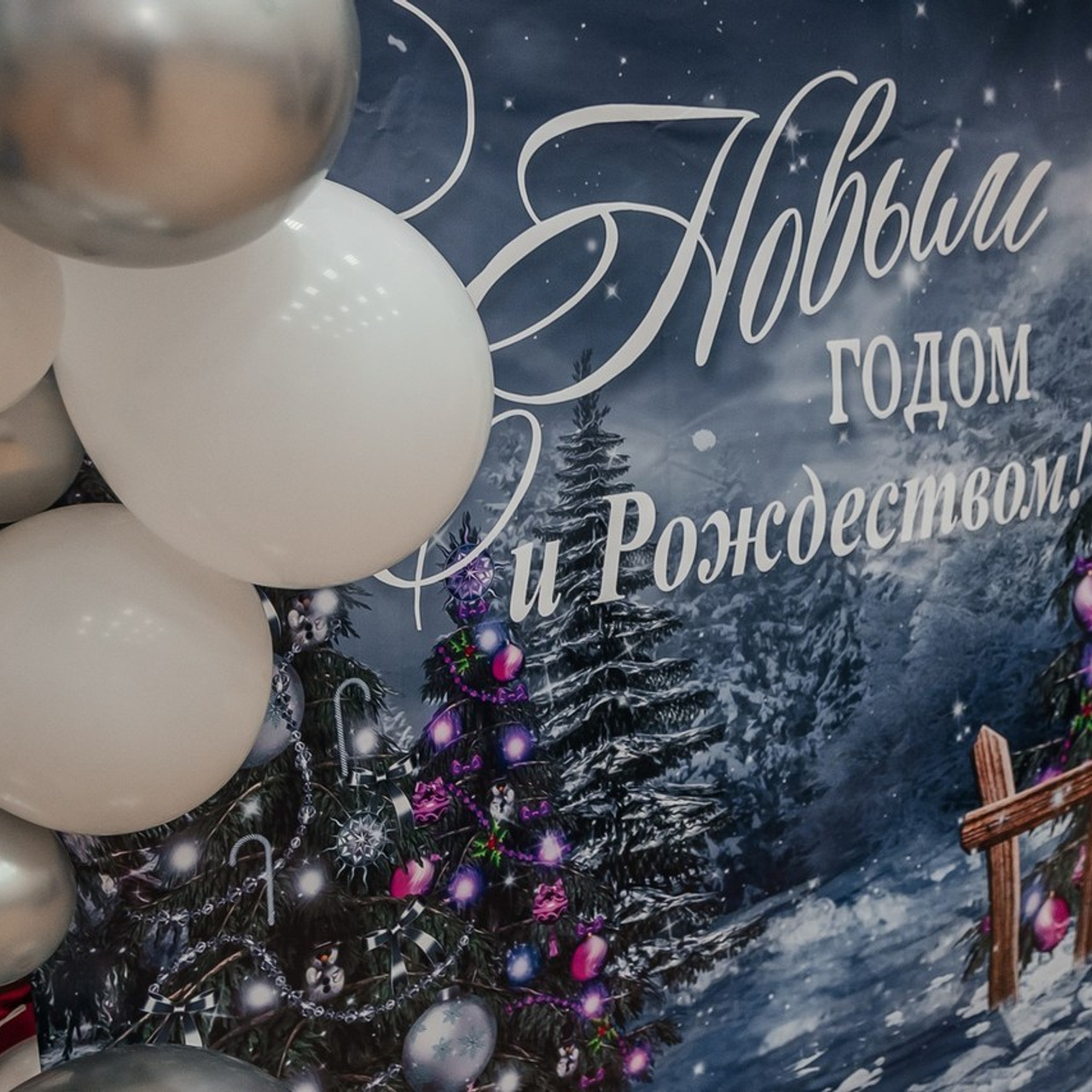 Отзывы. Семейный и детский фотограф Кущ Наташа