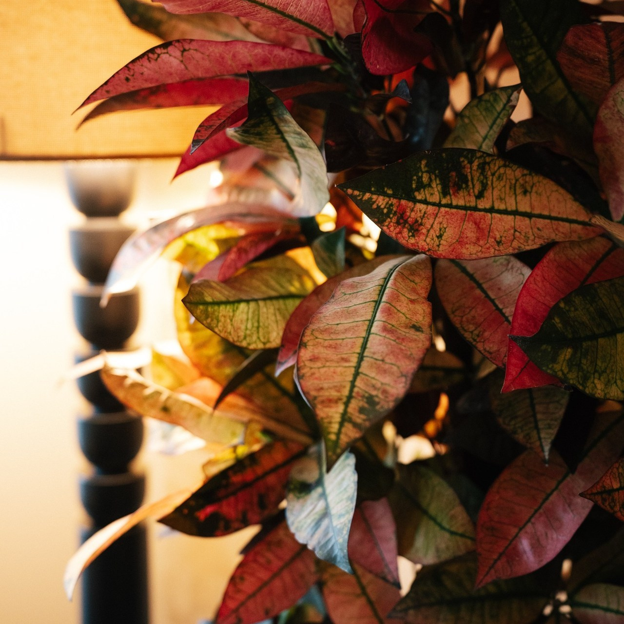 Отзывы. Фотограф в Воронеже Ольга Космодемьянская