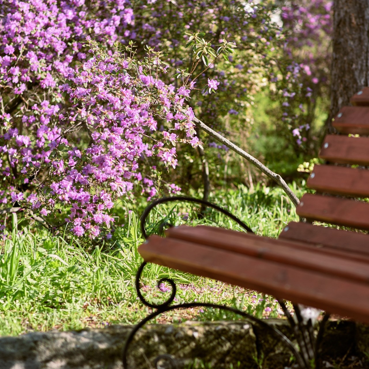 Фотограф интерьеров и архитекутры Юрий Бельмесов. Отзывы. Интерьерный фотограф. Фотограф архитектуры
