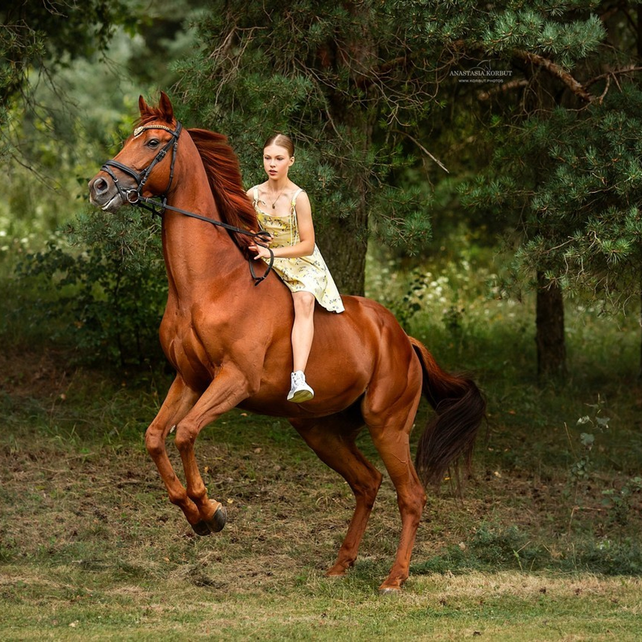 Отзывы. Арт фотограф в Минске Анастасия Корбут