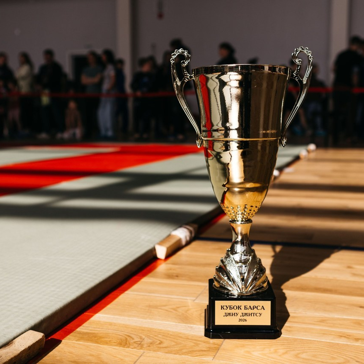 Отзывы о свадебном и репортажном фотографе Оле Альперович