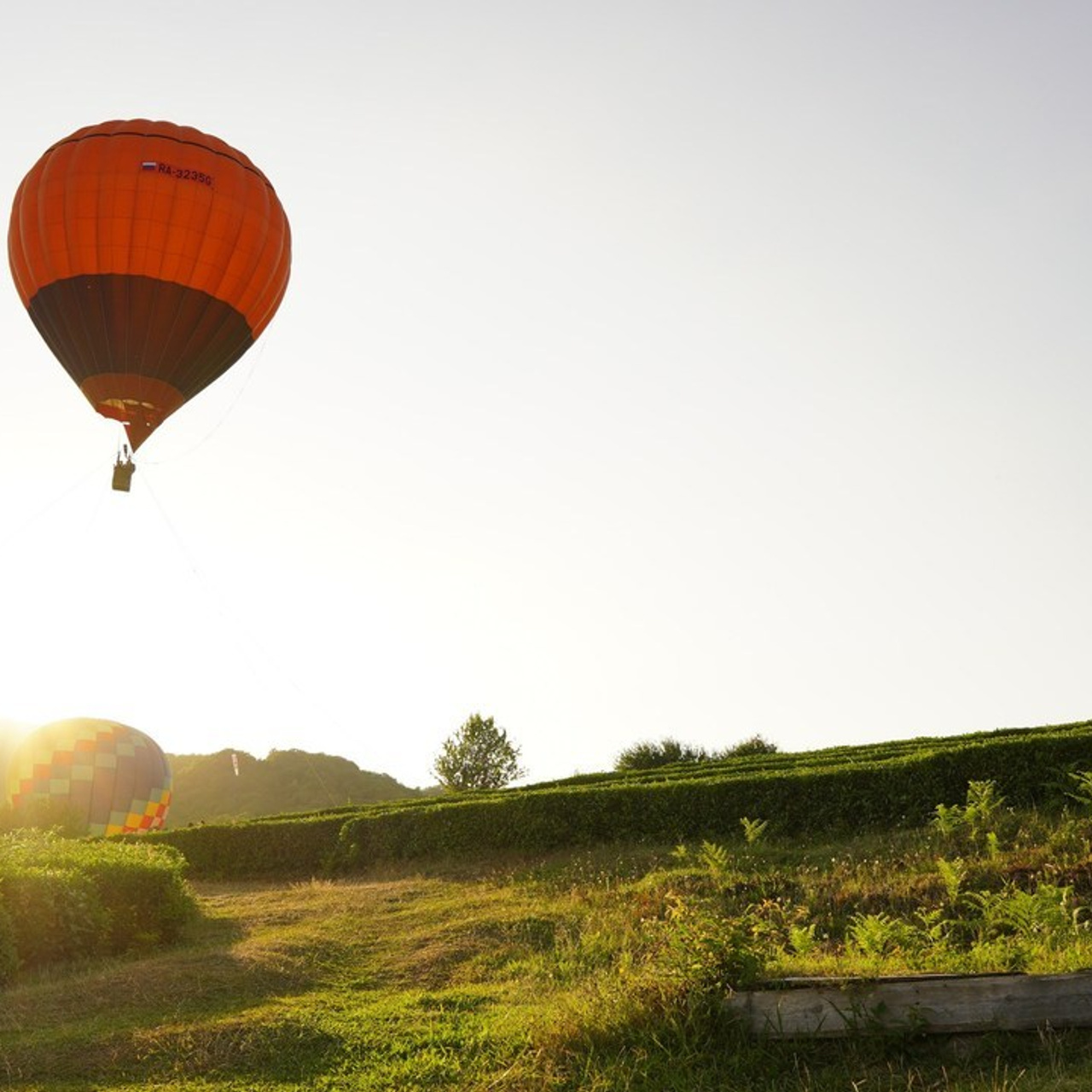 Отзывы. Репортажный фотограф  Сочи Николай Чик