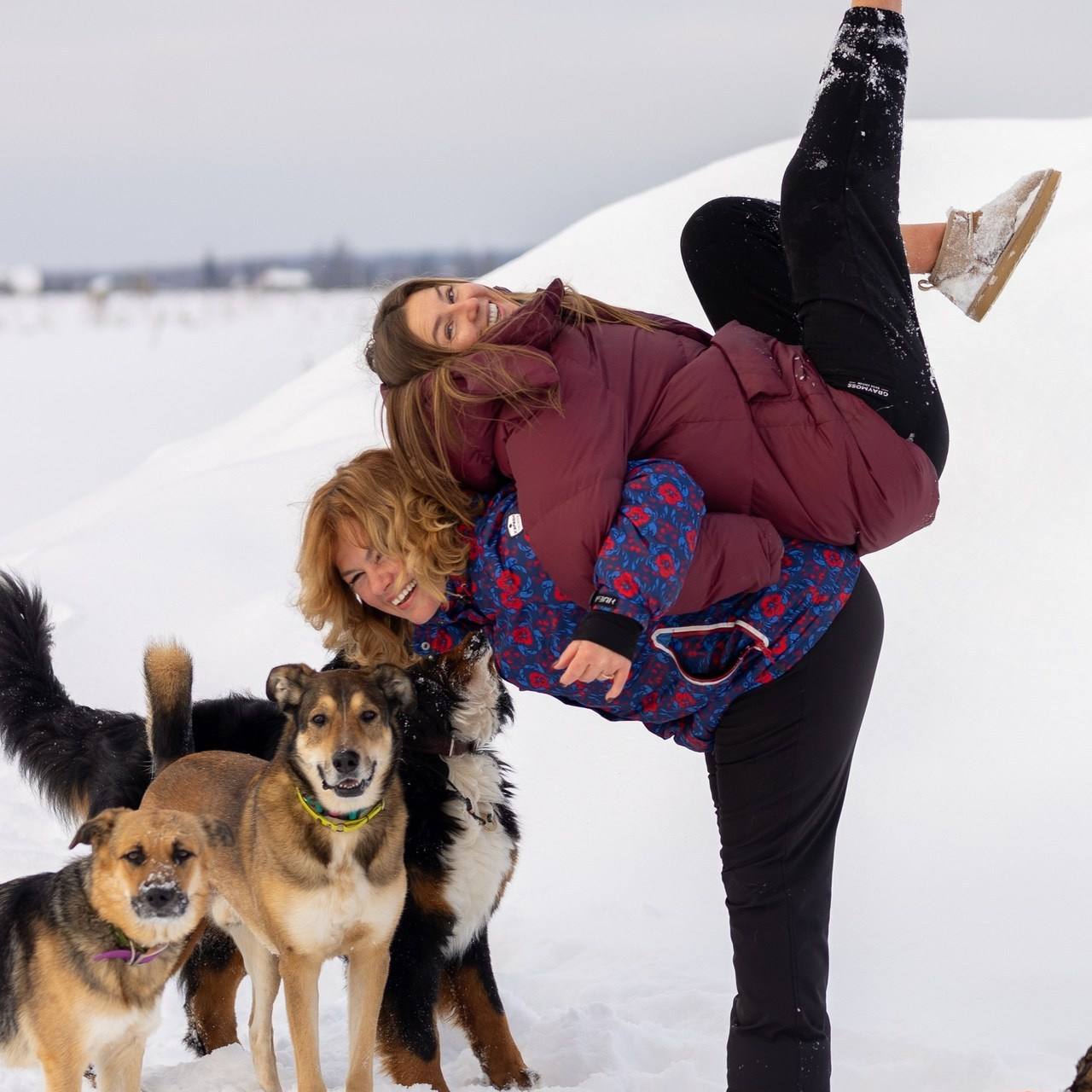 Отзывы. Фотограф-анималист в Москве Кириллова Татьяна