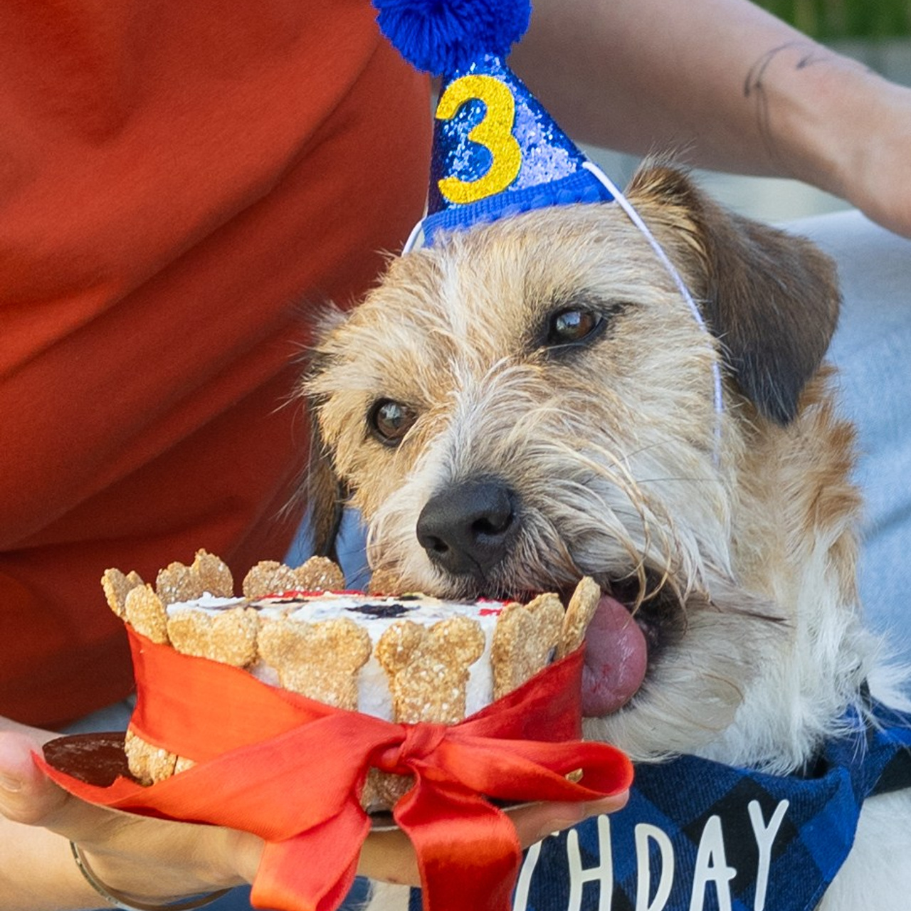 День рождение Зенита