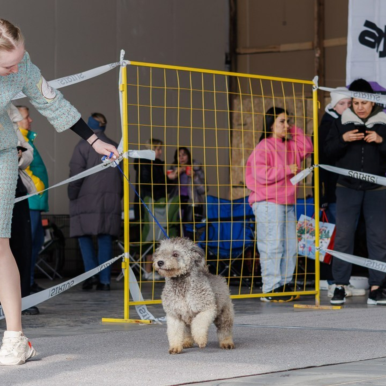 Главная. Фотограф Марк Файзулин