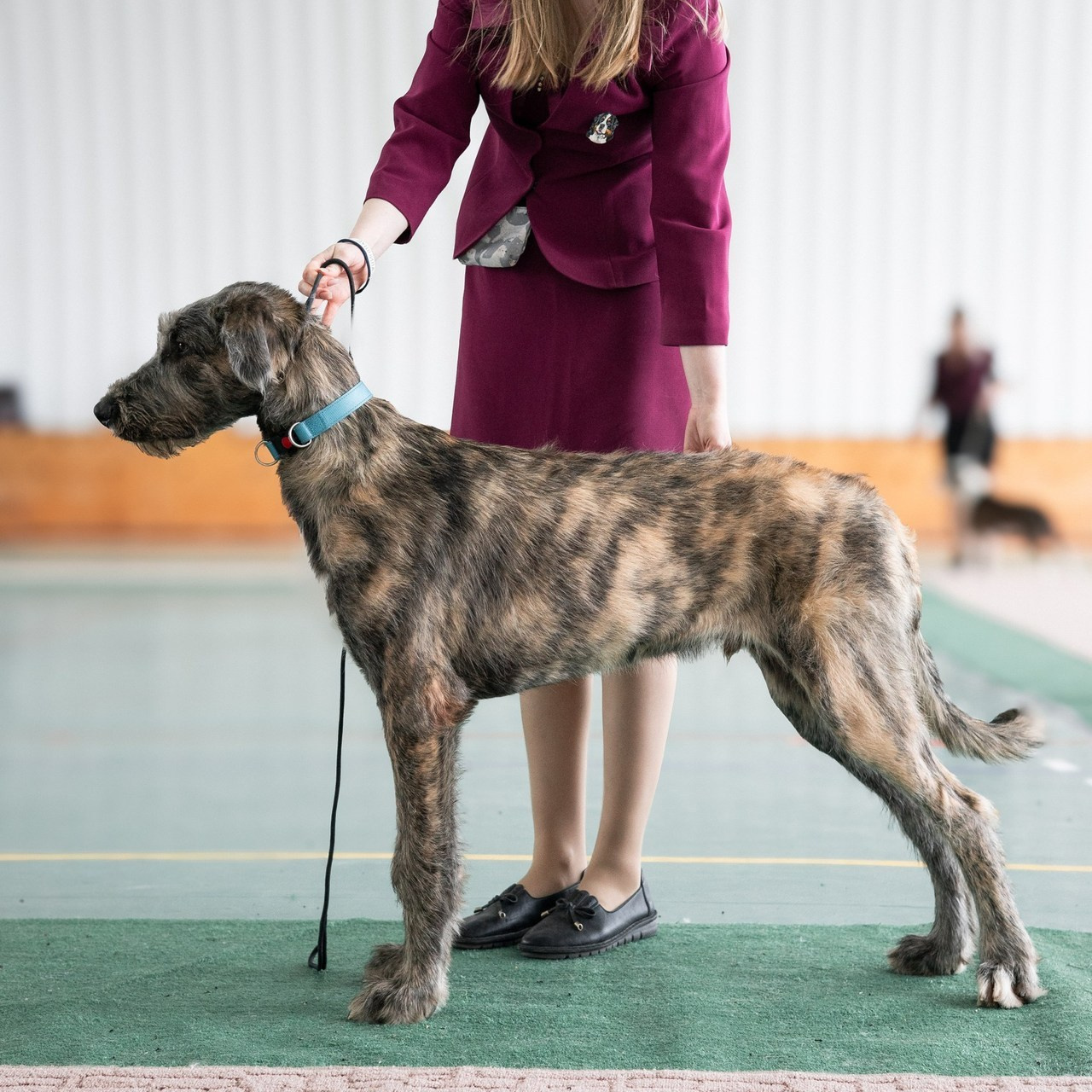Главная. Фотограф Марк Файзулин