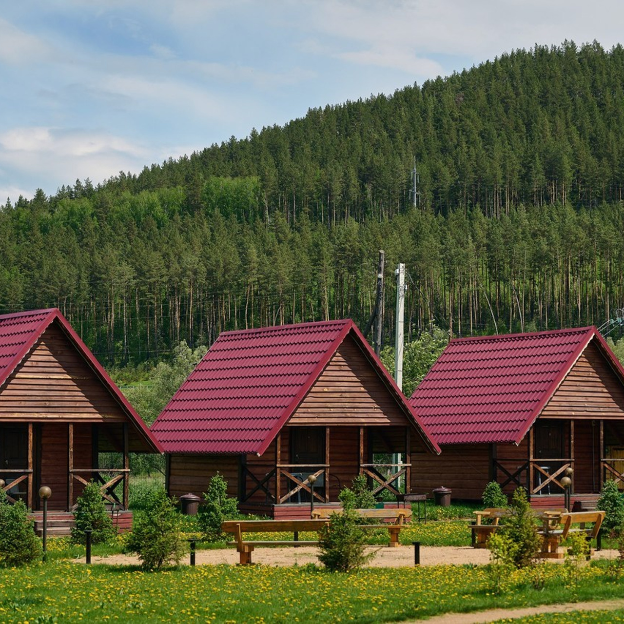 Отзывы о работе фотографа: мнения клиентов. Фотограф Опыт Качество Скорость Горный Алтай Барнаул