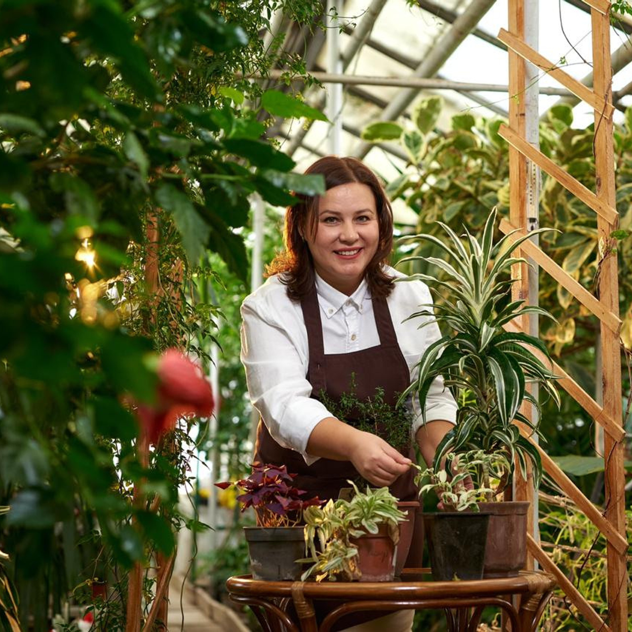 Отзывы о работе фотографа: мнения клиентов. Фотограф Опыт Качество Скорость Горный Алтай Барнаул