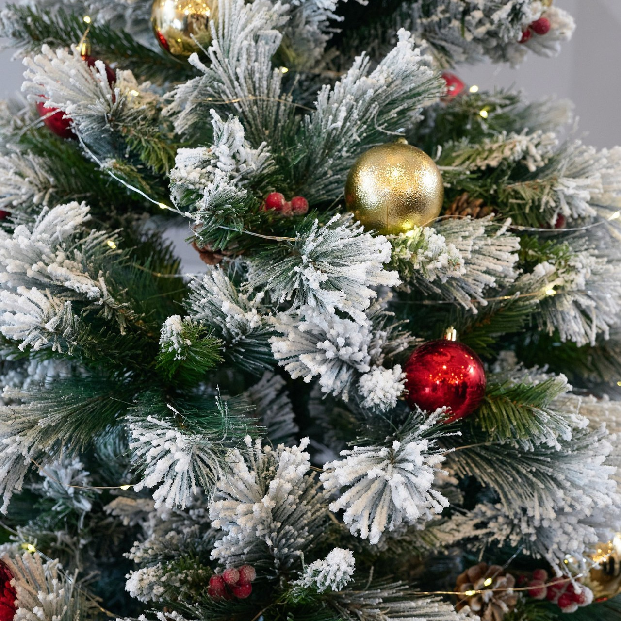 Отзывы о работе фотографа: мнения клиентов. Фотограф Опыт Качество Скорость Горный Алтай Барнаул