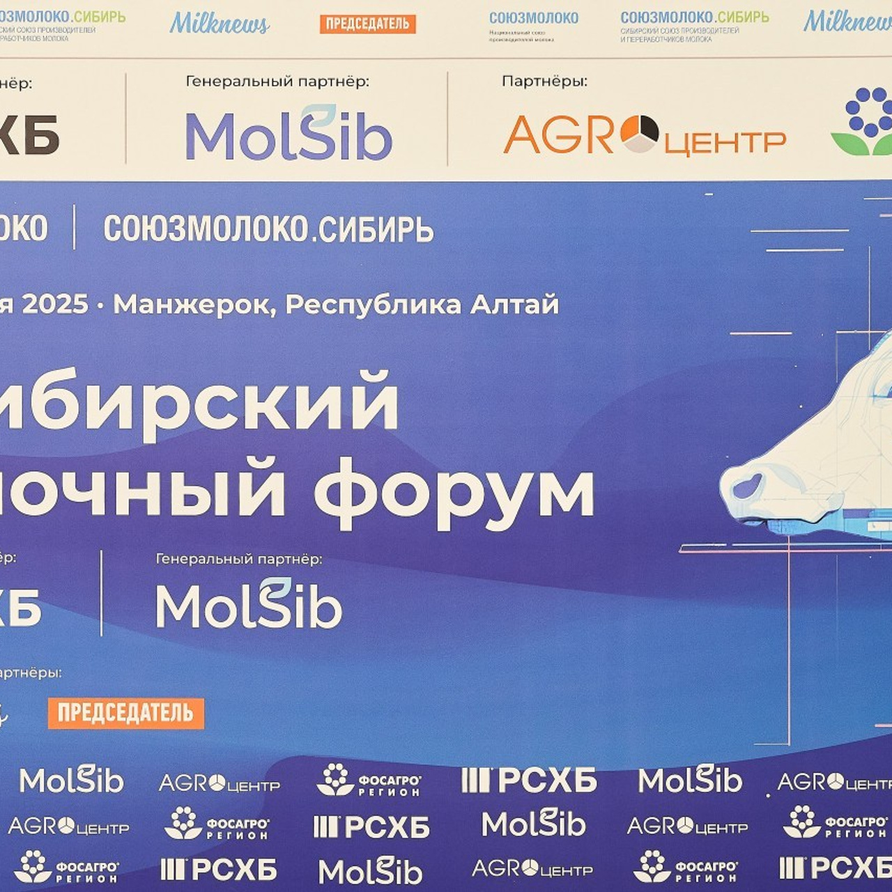 Отзывы о работе фотографа: мнения клиентов. Фотограф Опыт Качество Скорость Горный Алтай Барнаул