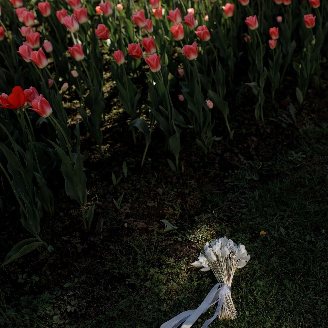 Отзывы. Дмитрий Позняк — свадебный фотограф в Брянске. Личный сайт фотографа