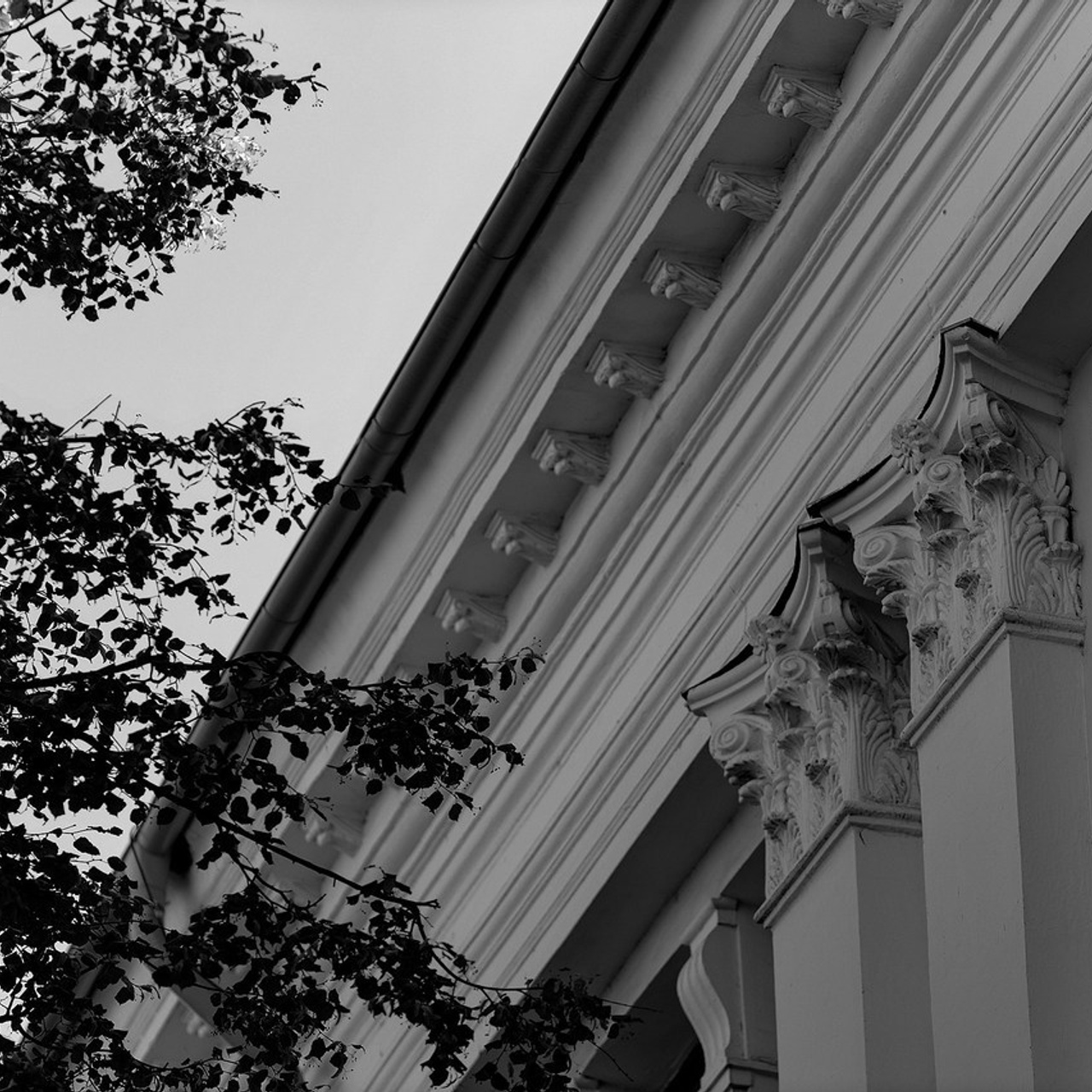 Отзывы. Дмитрий Позняк — свадебный фотограф в Брянске. Личный сайт фотографа