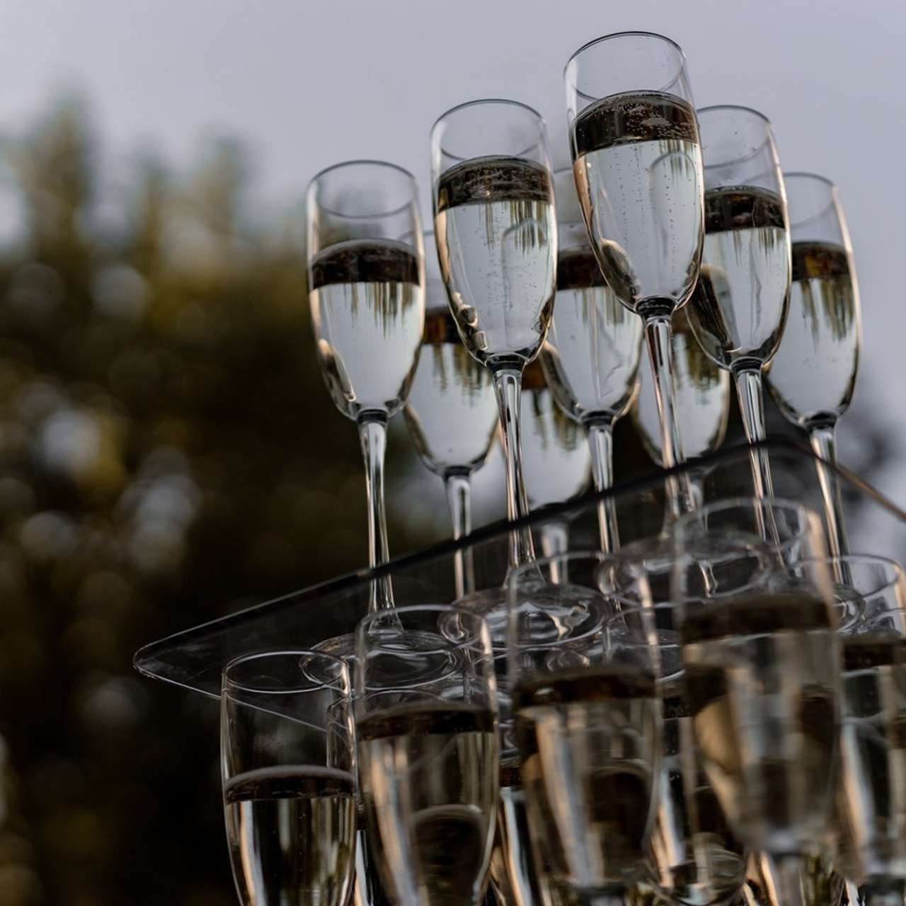 Отзывы. Дмитрий Позняк — свадебный фотограф в Брянске. Личный сайт фотографа