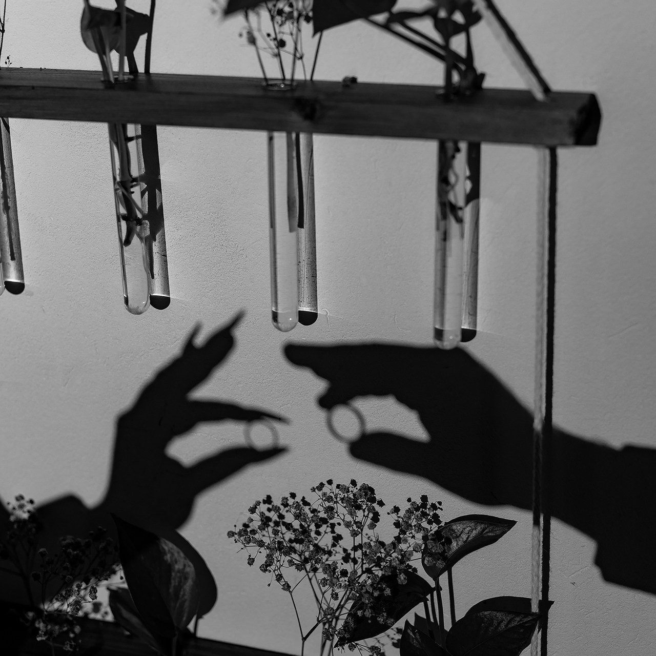 Отзывы. Дмитрий Позняк — свадебный фотограф в Брянске. Личный сайт фотографа