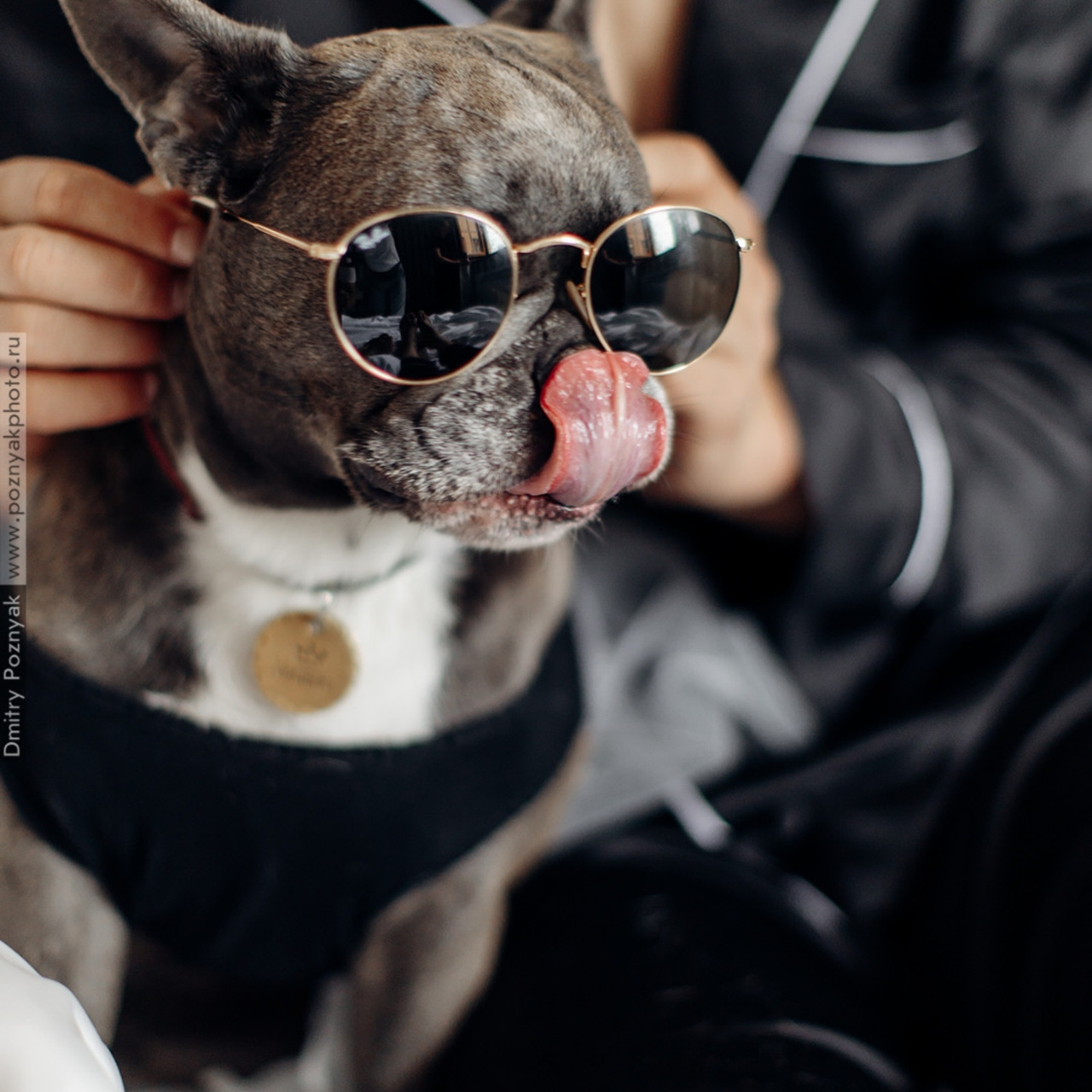 Что нового. Дмитрий Позняк — свадебный фотограф в Брянске. Личный сайт фотографа