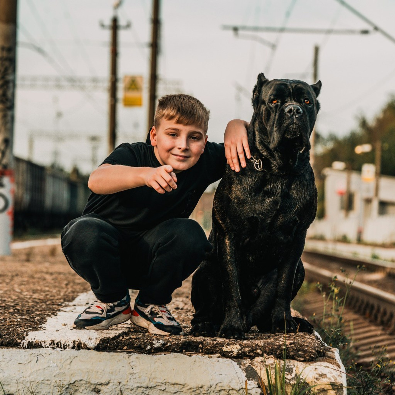 Отзывы. Фотограф-анималист, семейный фотограф в Москве и Подмосковье. Фотосъёмка кинологических дисциплин