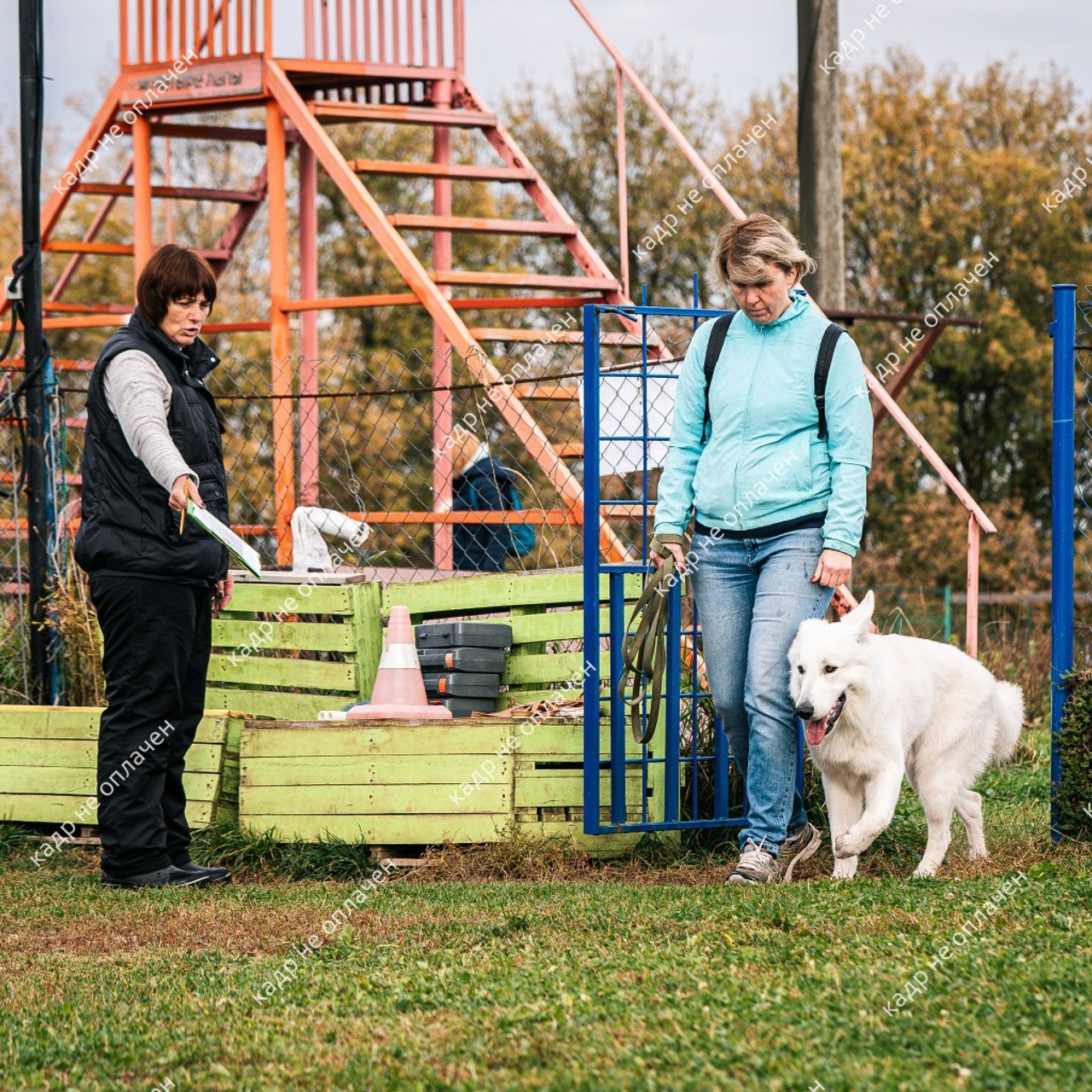 Отзывы. Фотограф-анималист, семейный фотограф в Москве и Подмосковье. Фотосъёмка кинологических дисциплин